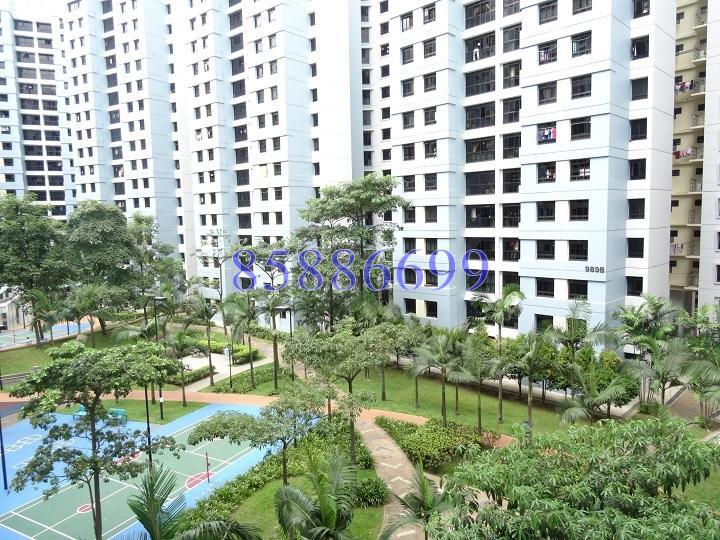 Blk 987B Jurong West Street 93 (Jurong West), HDB 5 Rooms #171370352